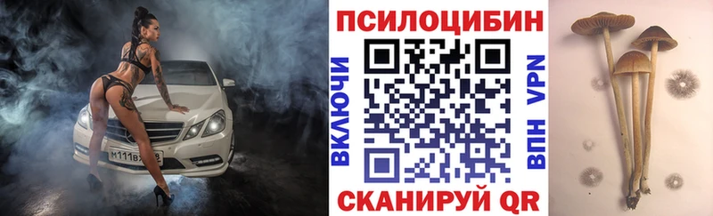 Псилоцибиновые грибы Magic Shrooms Ряжск